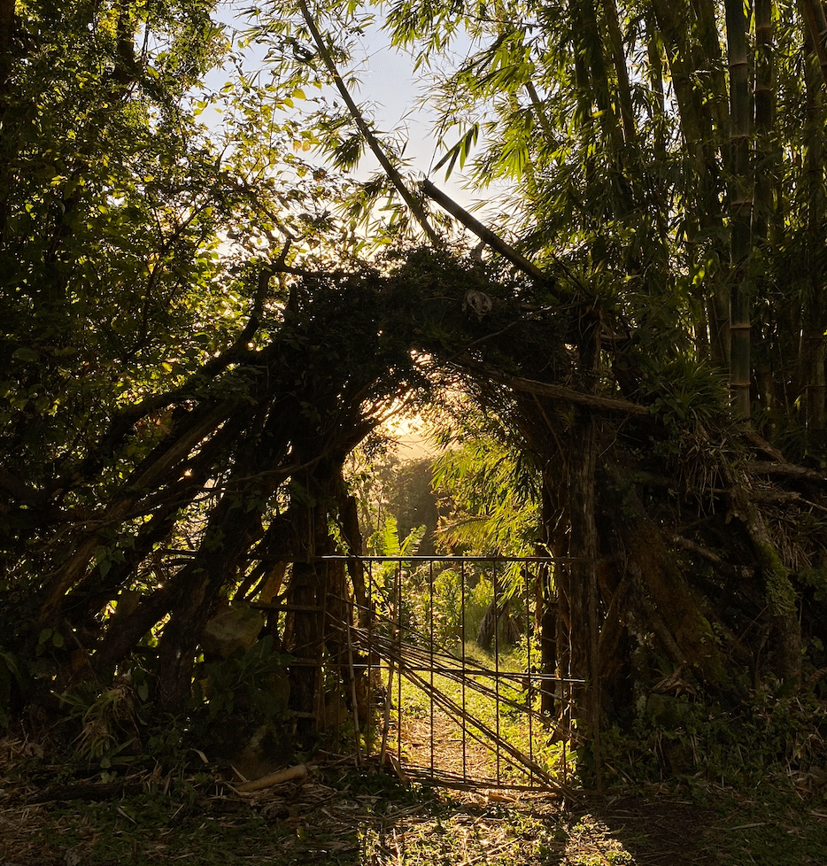 The Arms That Hold&nbsp;You